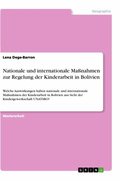 Nationale und internationale Maßnahmen zur Regelung der Kinderarbeit in Bolivien - Dege-Barron, Lena