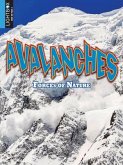 Avalanches