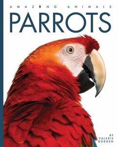 Parrots - Bodden, Valerie