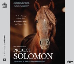 Project Solomon: The True Story of a Lonely Horse Who Found a Home - And Became a Hero - Stuber, Jodi; Bleakley, Jennifer Marshall
