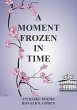 A Moment Frozen in Time - Bild 1