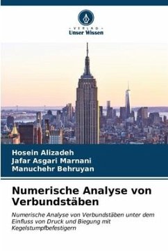 Numerische Analyse von Verbundstäben - Alizadeh, Hosein;Marnani, Jafar Asgari;Behruyan, Manuchehr