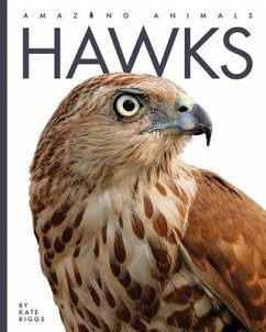 Hawks - Riggs, Kate