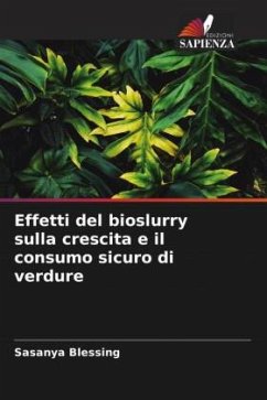 Effetti del bioslurry sulla crescita e il consumo sicuro di verdure - Blessing, Sasanya