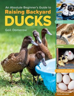 An Absolute Beginner's Guide to Raising Backyard Ducks - Damerow, Gail