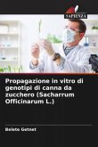 Propagazione in vitro di genotipi di canna da zucchero (Sacharrum Officinarum L.)
