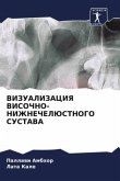 VIZUALIZACIYa VISOChNO-NIZhNEChELJuSTNOGO SUSTAVA