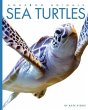Sea Turtles - Bild 1