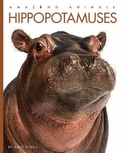 Hippopotamuses - Riggs, Kate