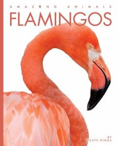 Flamingos - Riggs, Kate