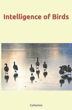 Intelligence of Birds - Nature and Human Studies; Collection