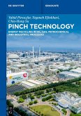 Pinch Technology (eBook, ePUB)