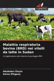 Malattia respiratoria bovina (BRD) nei vitelli da latte in Sudan