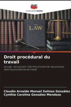 Droit procédural du travail - Salinas González, Claudio Arnaldo Manuel;González Mendoza, Cynthia Carolina