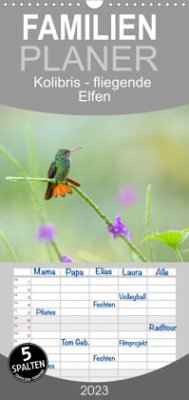 Familienplaner Kolibris - fliegende Elfen (Wandkalender 2023 , 21 cm x 45 cm, hoch)