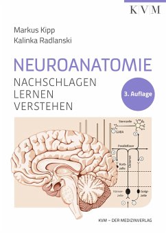 Neuroanatomie - Kipp, Markus;Radlanski, Kalinka