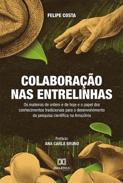 Colaboração nas Entrelinhas (eBook, ePUB) - Costa, Felipe