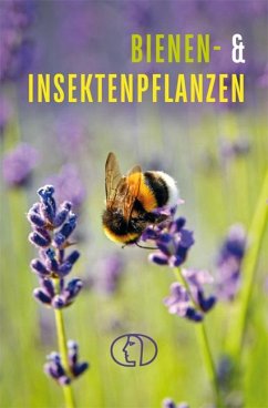 Bienen- & Insektenpflanzen - Wengel, Tassilo