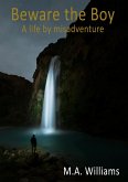 Beware the Boy (eBook, ePUB) Beware the Boy (eBook, ePUB)