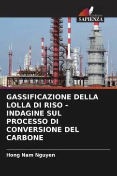 GASSIFICAZIONE DELLA LOLLA DI RISO - INDAGINE SUL PROCESSO DI CONVERSIONE DEL CARBONE - Nguyen, Hong Nam