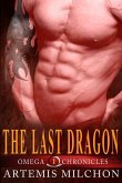 The Last Dragon