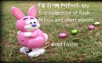 Far from Perfect: My First Collection of Flash Fiction and Short Stories (eBook, ePUB)