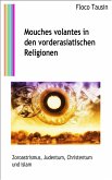 Mouches volantes in den vorderasiatischen Religionen (eBook, ePUB)