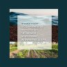 The Harmony of Nature (MP3-Download) - Bild 1