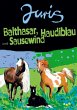 Balthasar, Haudiblau und Sausewind - Bild 1