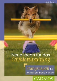 Neue Ideen für das Cavalettitraining - Rumpf, Steffi