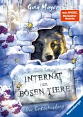 Die Entscheidung / Das Internat der bösen Tiere Bd.6 (eBook, ePUB)