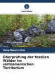 Überprüfung der fossilen Wälder im vietnamesischen Territorium