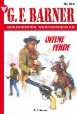 Offene Fehde (eBook, ePUB)