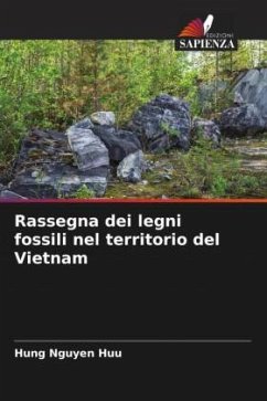 Rassegna dei legni fossili nel territorio del Vietnam - NGUYEN HUU, HUNG