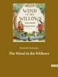The Wind in the Willows - Bild 1