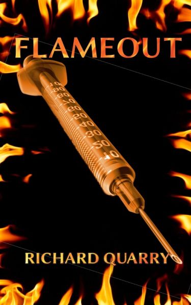 Flameout (eBook, ePUB)