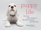 Puppy Life (eBook, ePUB)