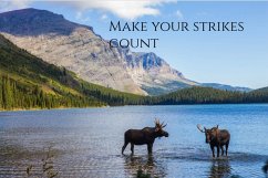 Make your Strikes count (eBook, ePUB) Cover Make your Strikes count (eBook, ePUB)