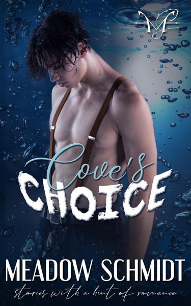 Cove's Choice (eBook, ePUB)
