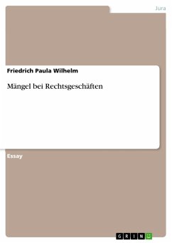 Mängel bei Rechtsgeschäften (eBook, PDF)