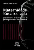 Maternidade Encarcerada (eBook, ePUB)