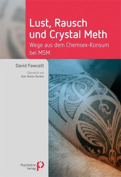 Lust, Rausch und Crystal Meth - Fawcett, David