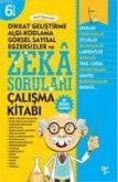 Zeka Sorulari 6