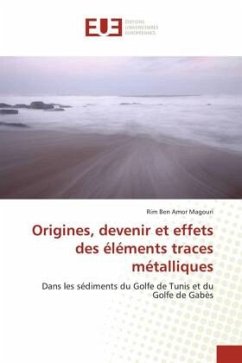 Origines, devenir et effets des éléments traces métalliques - Ben Amor Magouri, Rim