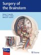 Surgery of the Brainstem (eBook, ePUB) - Bild 1