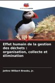 Effet humain de la gestion des déchets : organisation, collecte et élimination