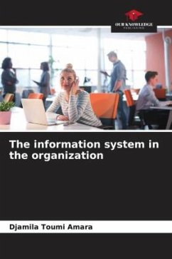 The information system in the organization - Toumi Amara, Djamila
