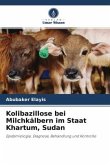Kolibazillose bei Milchkälbern im Staat Khartum, Sudan