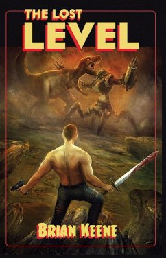 Cover The Lost Level (eBook, ePUB)