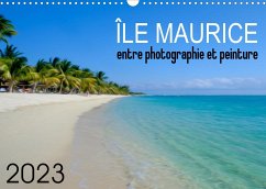 Île Maurice entre photographie et peinture (Calendrier mural 2023 DIN A3 horizontal)